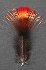 fruit crow feathers